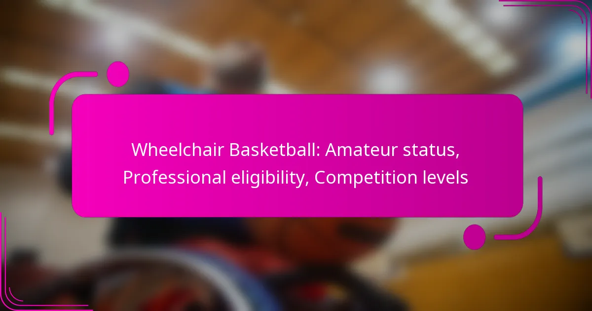 Wheelchair Basketball: Amateur status, Professional eligibility, Competition levels