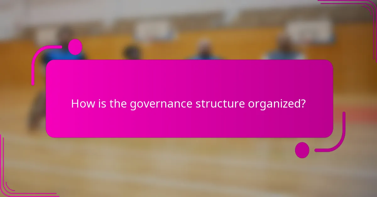 How is the governance structure organized?
