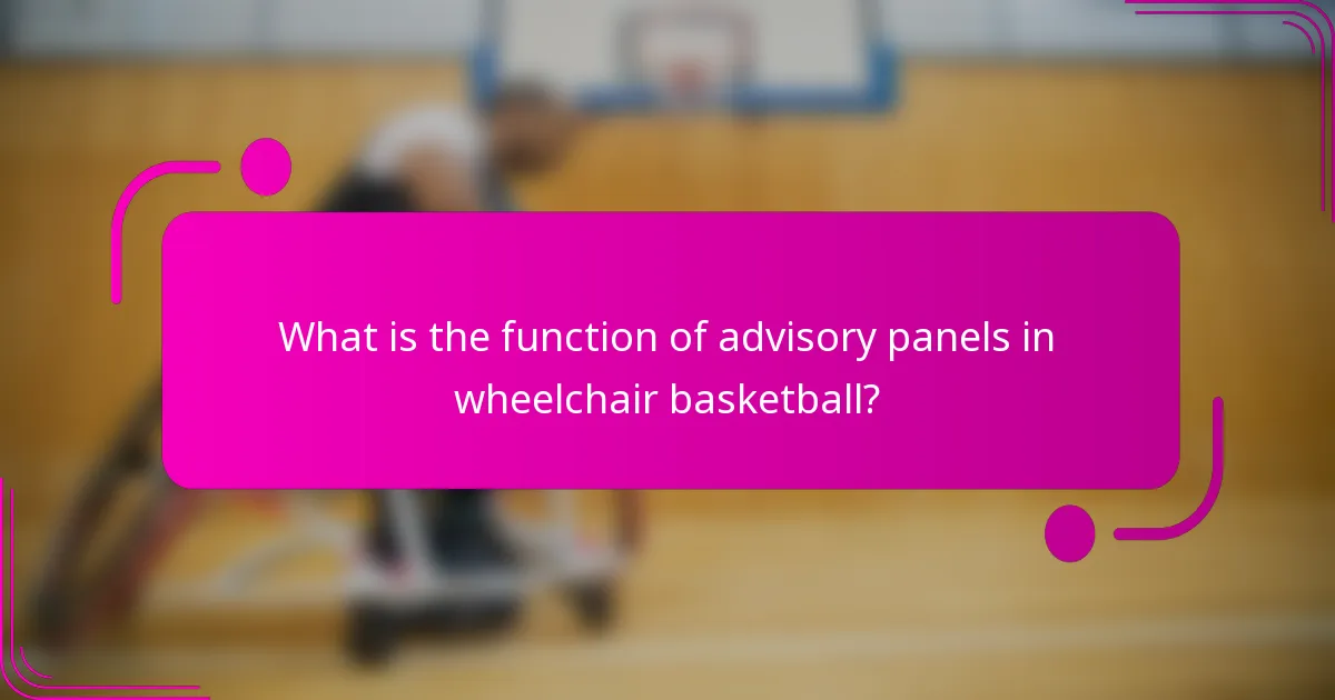 What is the function of advisory panels in wheelchair basketball?
