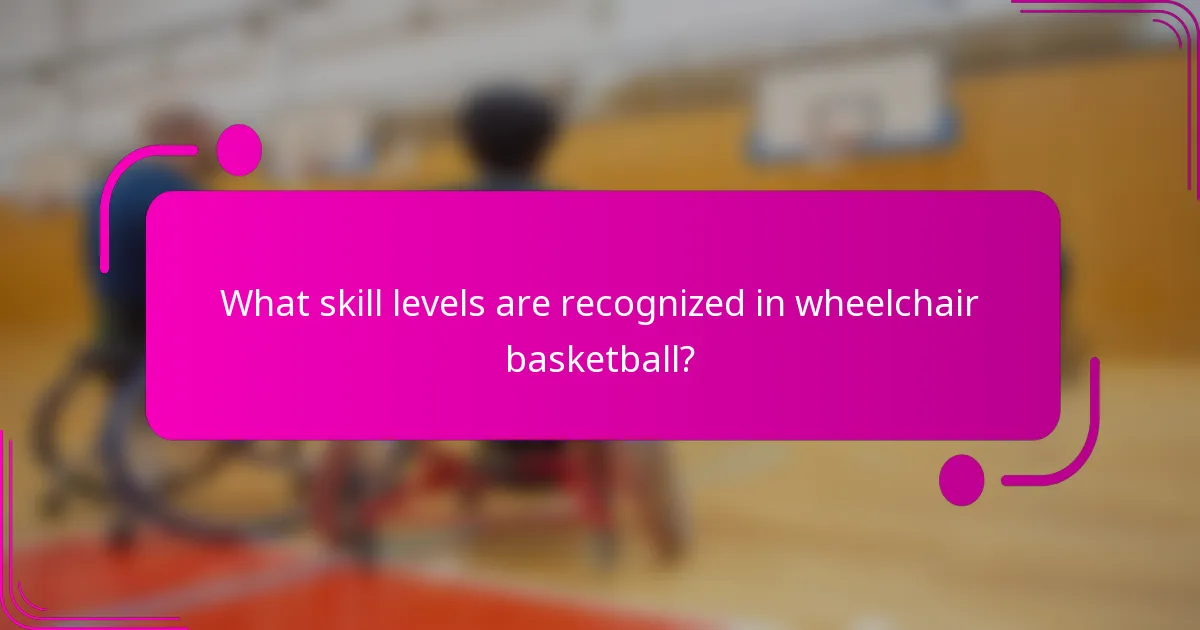 What skill levels are recognized in wheelchair basketball?