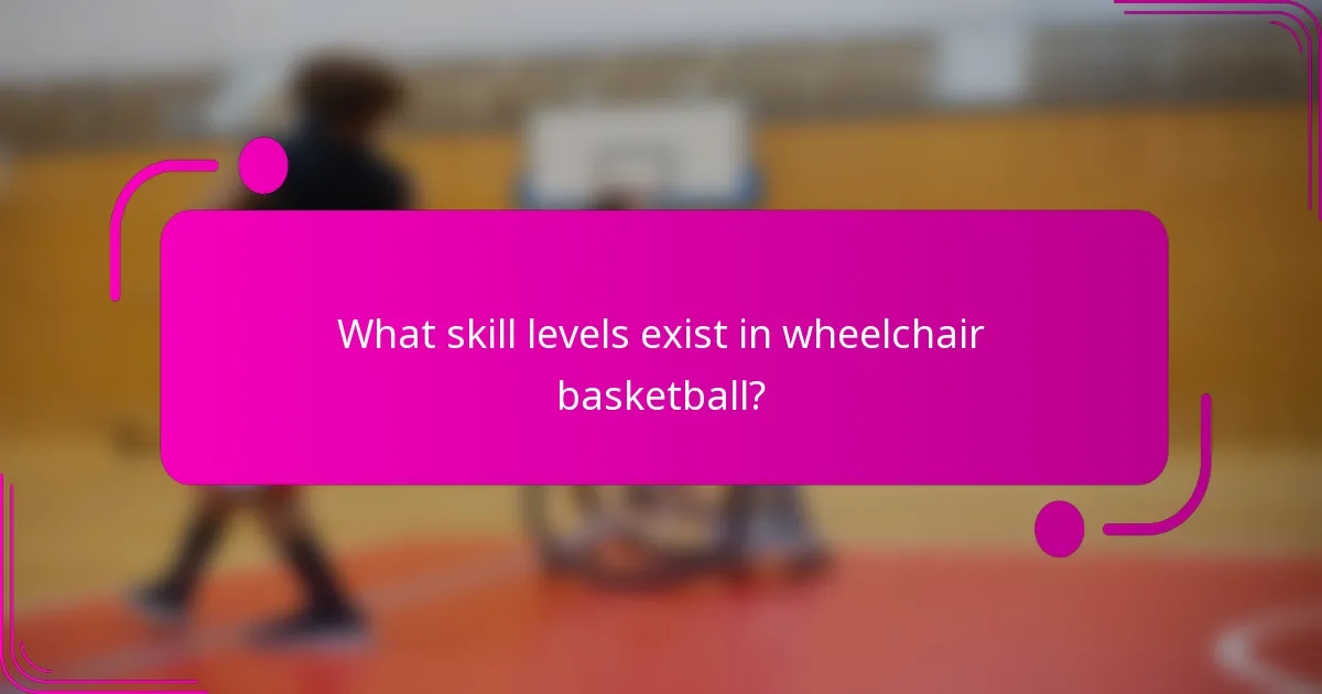 What skill levels exist in wheelchair basketball?